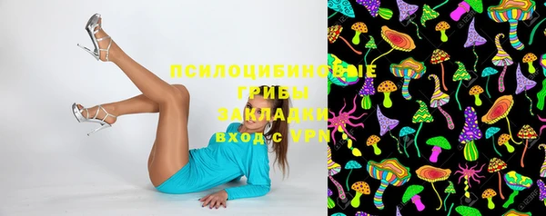 spice Надым