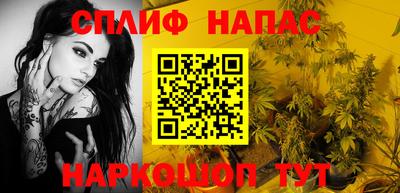 дживик Камышлов
