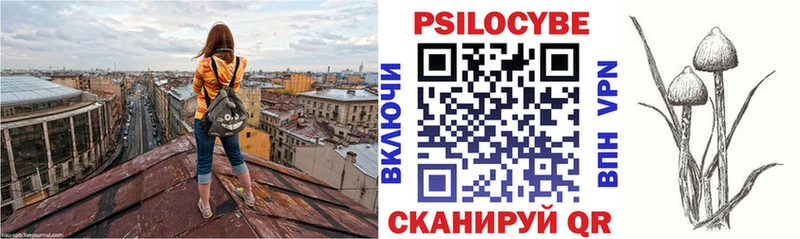 Галлюциногенные грибы GOLDEN TEACHER  Салават 