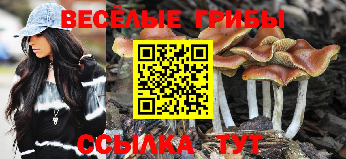 Псилоцибиновые грибы Psilocybine cubensis  Салават 