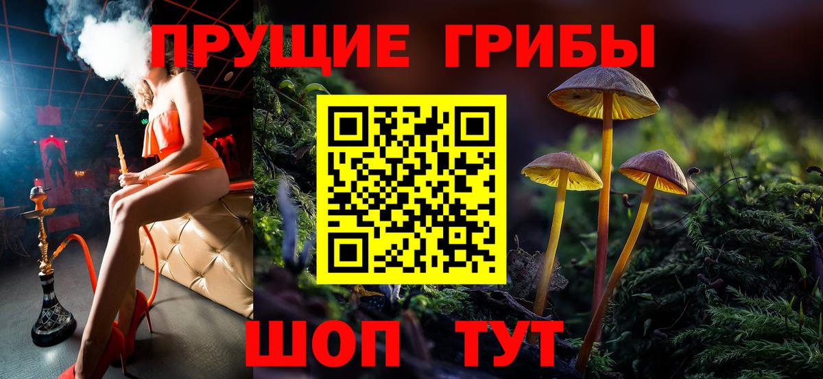 Галлюциногенные грибы прущие грибы Салават