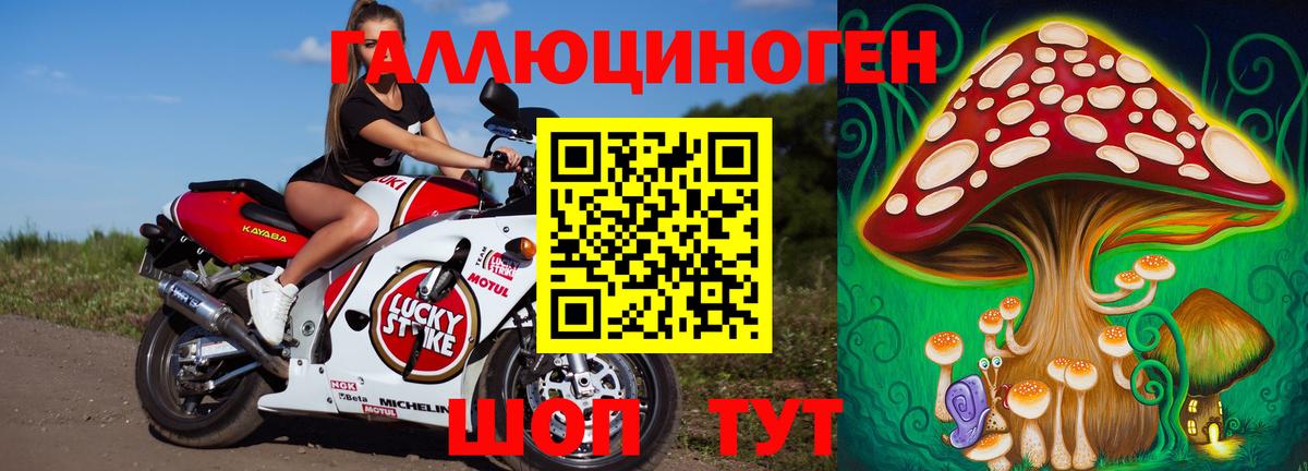 Псилоцибиновые грибы Psilocybine cubensis Салават